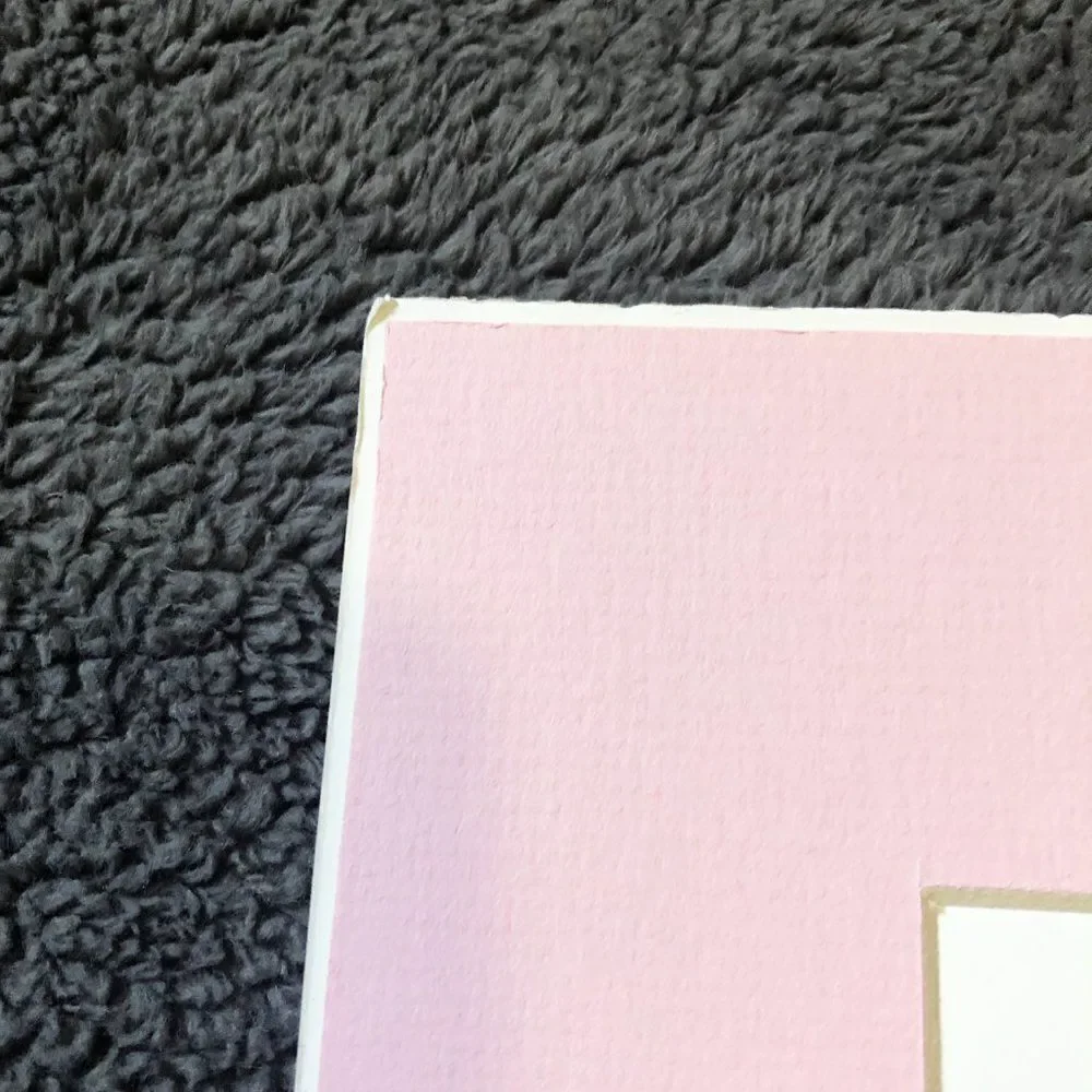 7x24 Pastel Pink Hunting Photo Mat‎